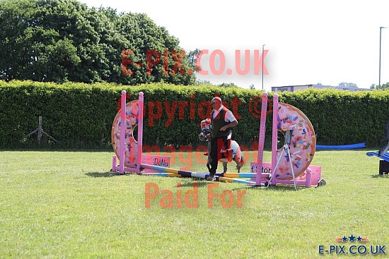 SMP EVENTS - Show Jumping and Showing - Willow Farm - 09-06-2024