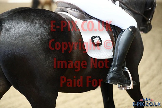 SMP EVENTS - Dressage - Hadlow - 31-08-2024